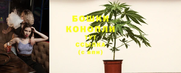 мяу мяу кристалл Гусь-Хрустальный