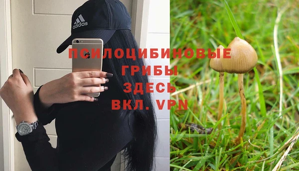 винт Гусев