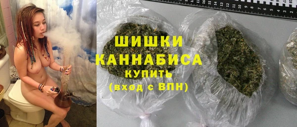 винт Гусев