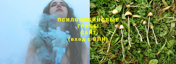 мяу мяу кристалл Гусь-Хрустальный