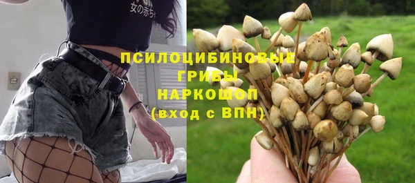 винт Гусев
