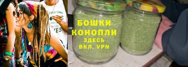 винт Гусев