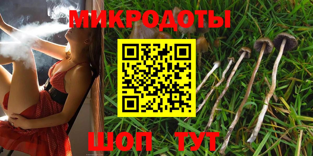 где купить наркоту  Нурлат  Псилоцибиновые грибы Magic Shrooms  Псилоцибиновые грибы Psilocybine cubensis 