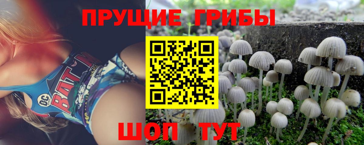 Галлюциногенные грибы MAGIC MUSHROOMS Нурлат