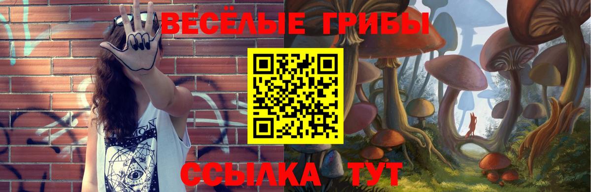 Псилоцибиновые грибы GOLDEN TEACHER  Вход с VPN  Нурлат 